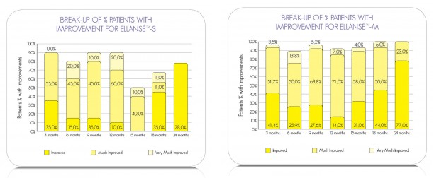 Dolgu Araştırmacı Değerlendirme GAIS Dolgu Araştırmacı Değerlendirme GAIS
